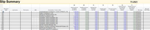 T5 Slips T5 Slip Summary.png